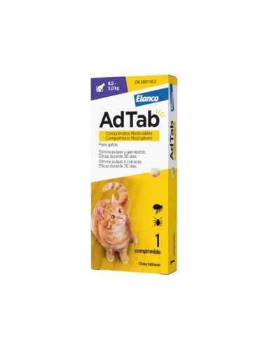 Product image for 19113