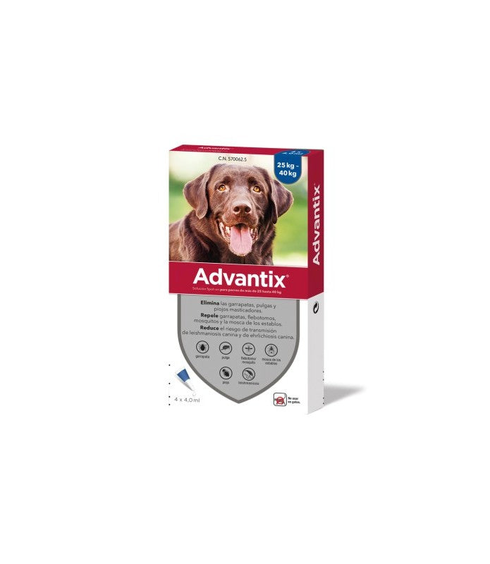 Product image for 19544