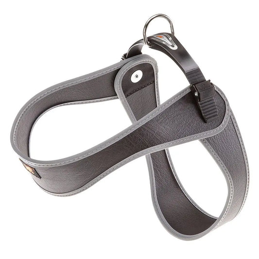 Product image for 15744