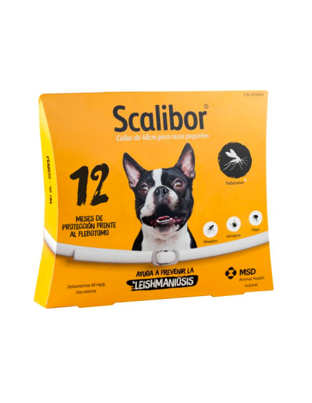 Product image for 19369