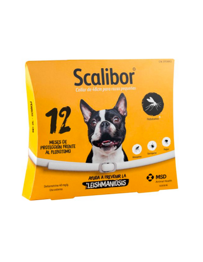 Product image for 19369