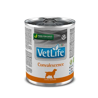 Product image for 13902