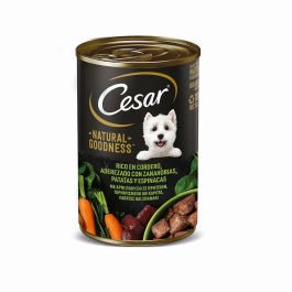 Product image for 10822