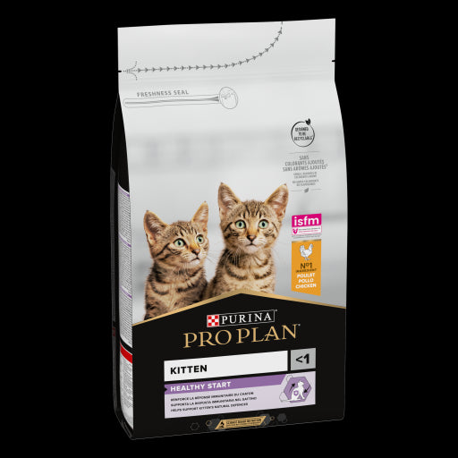 Product image for 10389