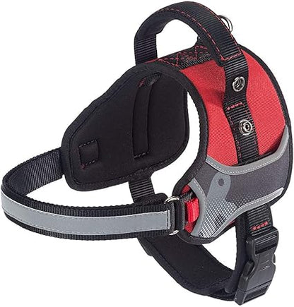 Product image for 15333
