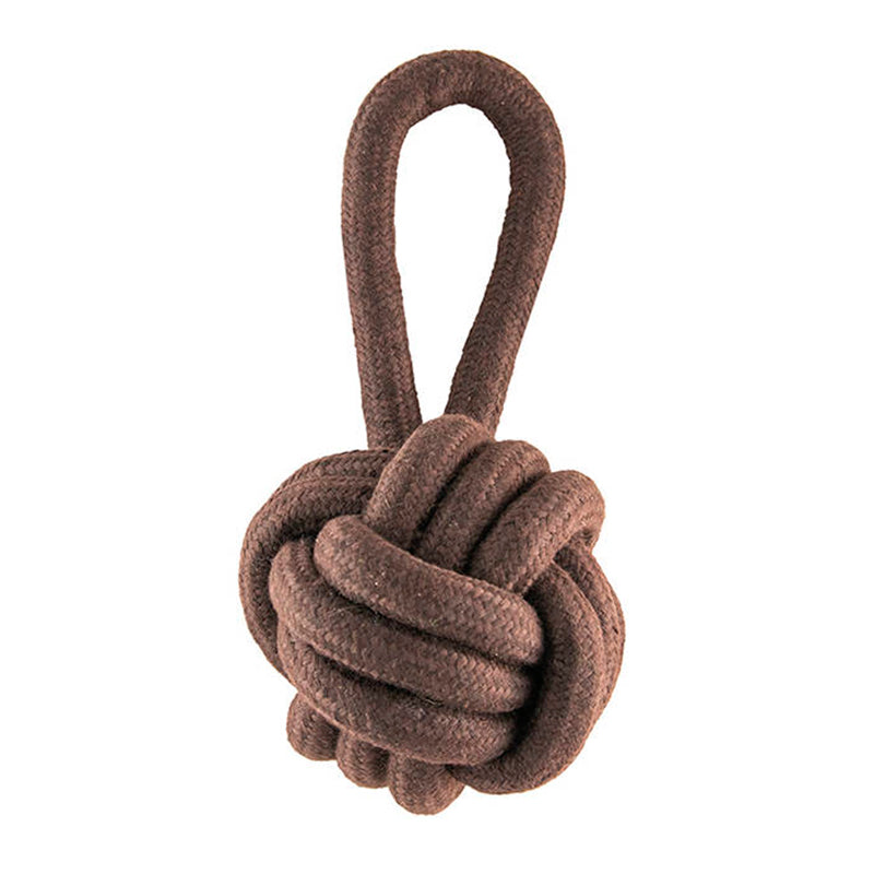 Product image for 16363