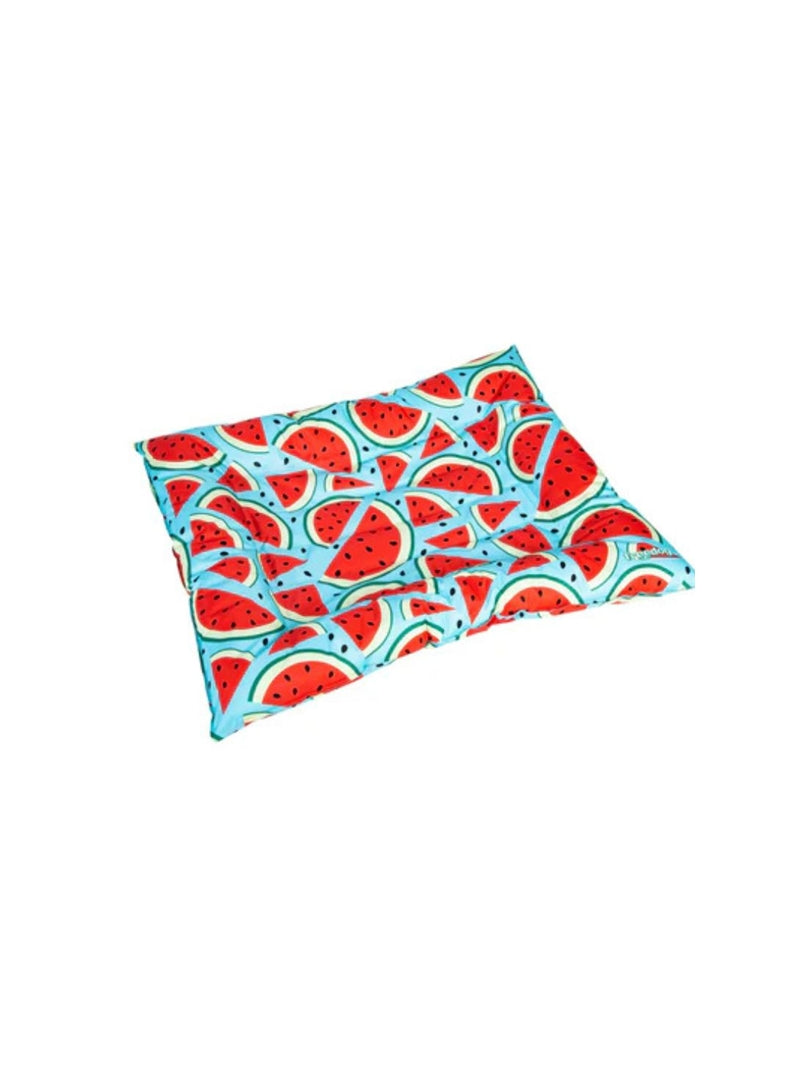 Product image for 10588
