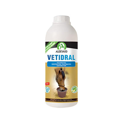 Product image for 10669