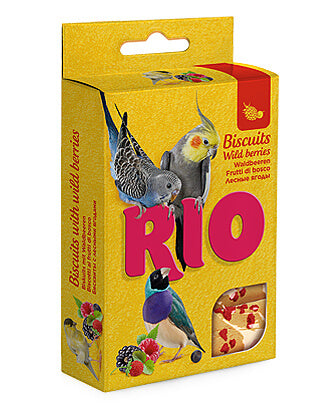 Product image for 10560