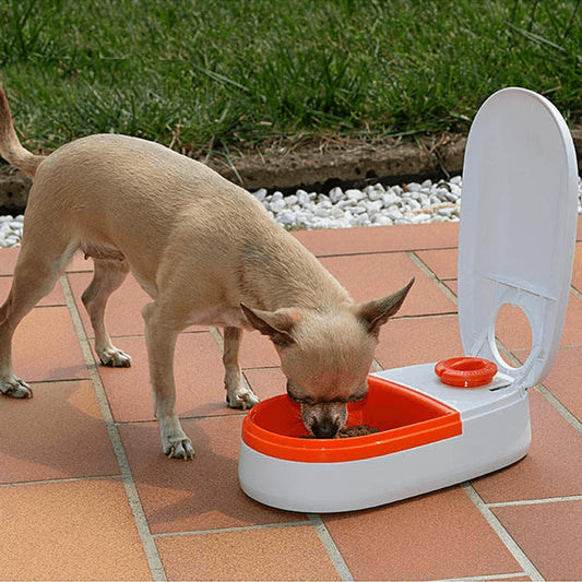 Product image for 14297