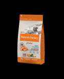 Product image for 9697