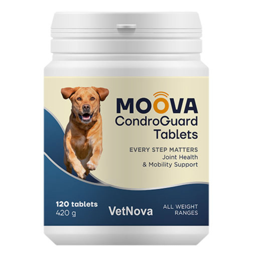 Product image for 16919