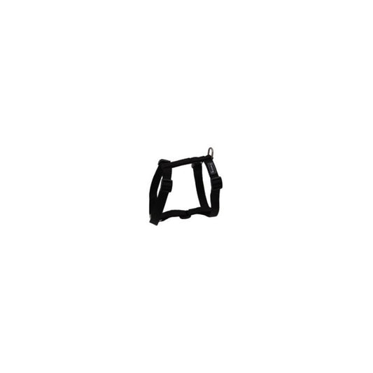 Product image for 15970
