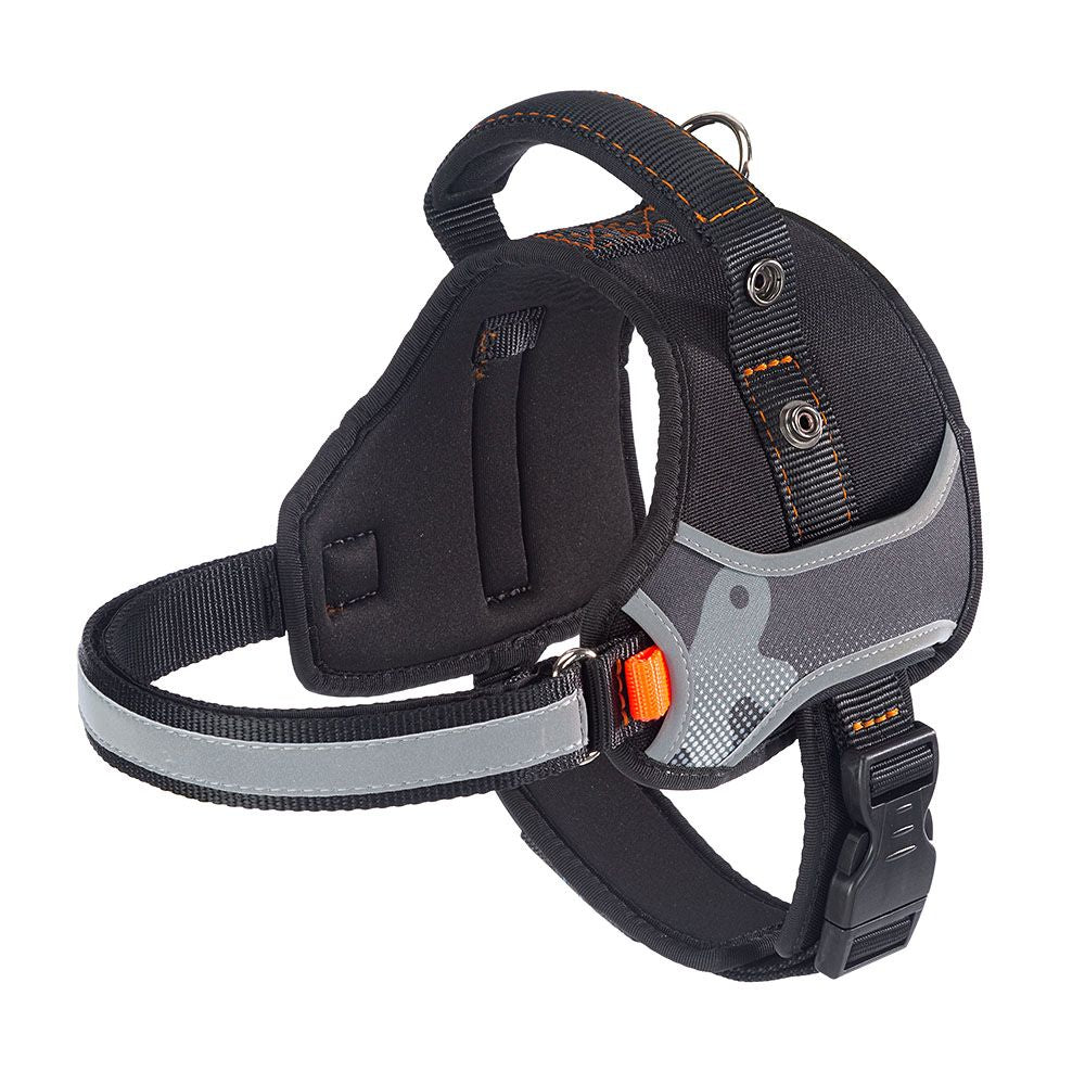 Product image for 14701