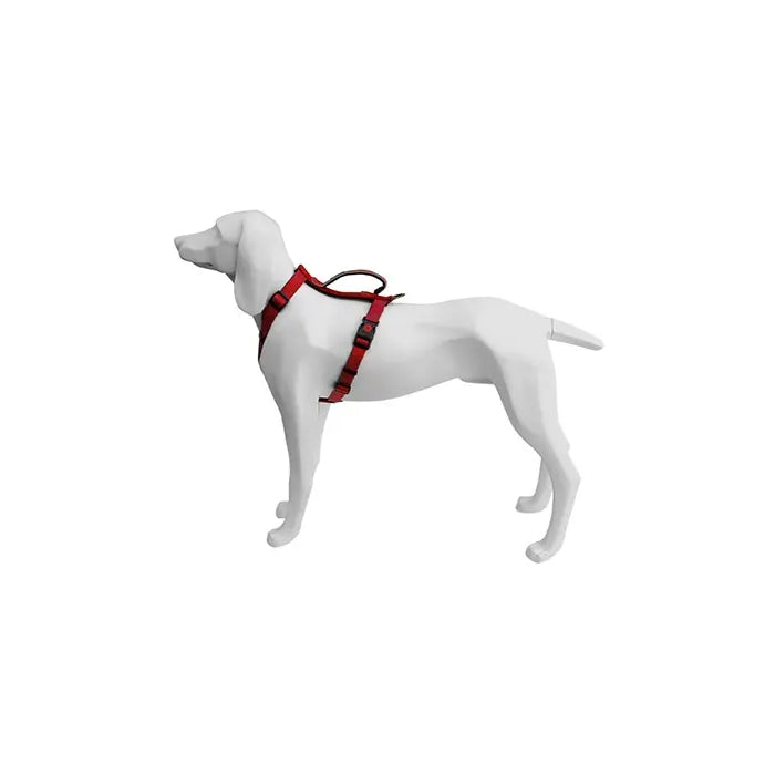 Product image for 16448