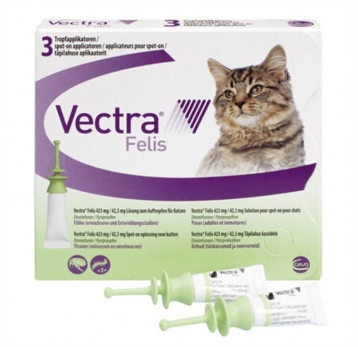 Product image for 19608