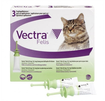 Product image for 19608