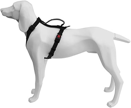 Product image for 16447