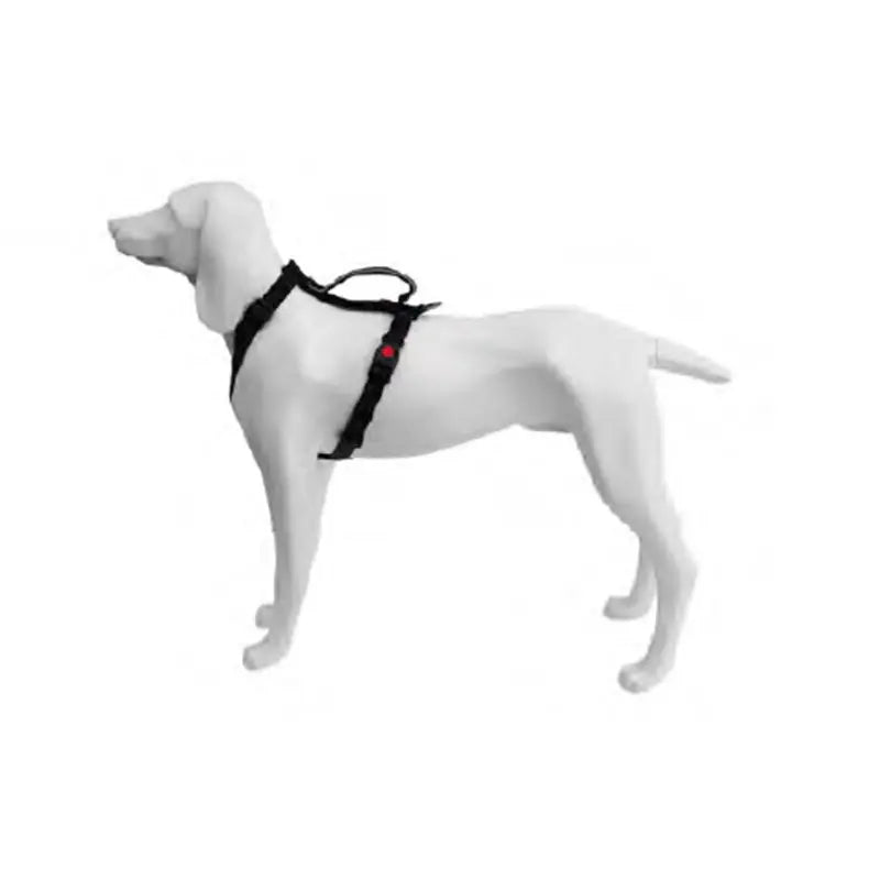 Product image for 16449
