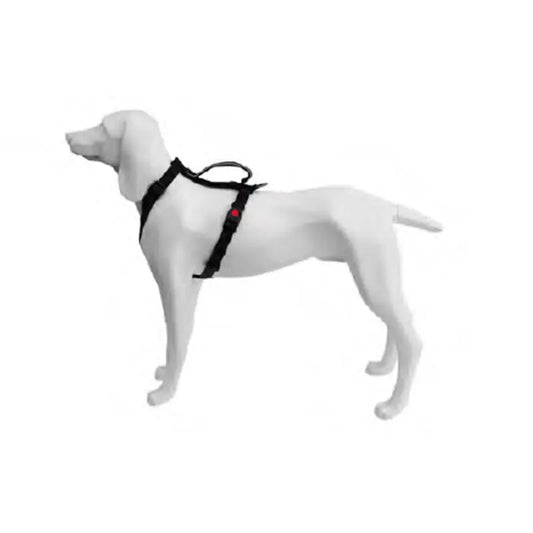 Product image for 16449