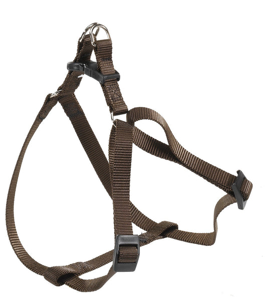 Product image for 15719