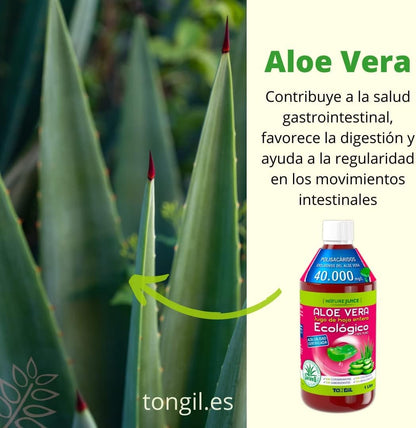 Tongil Aloe Vera Ecologico 100% Puro 1 Litro-5
