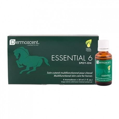 Product image for 11197