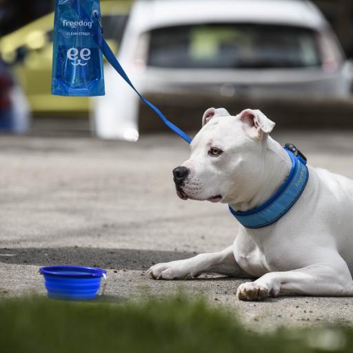 Product image for 15976