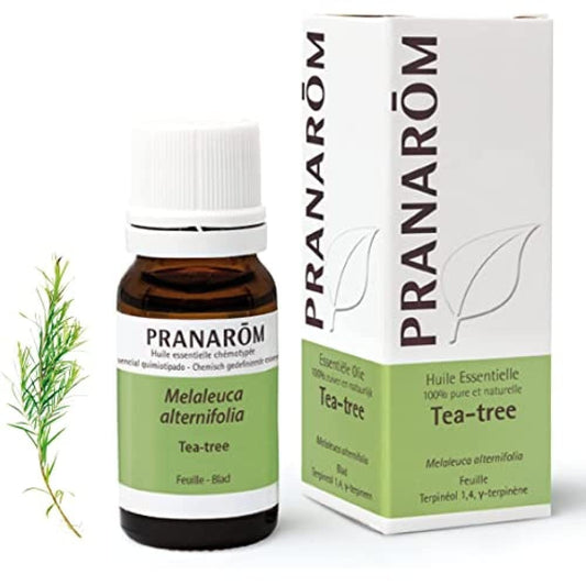 Pranarom Arbol Del Te Hoja 10 ml-1