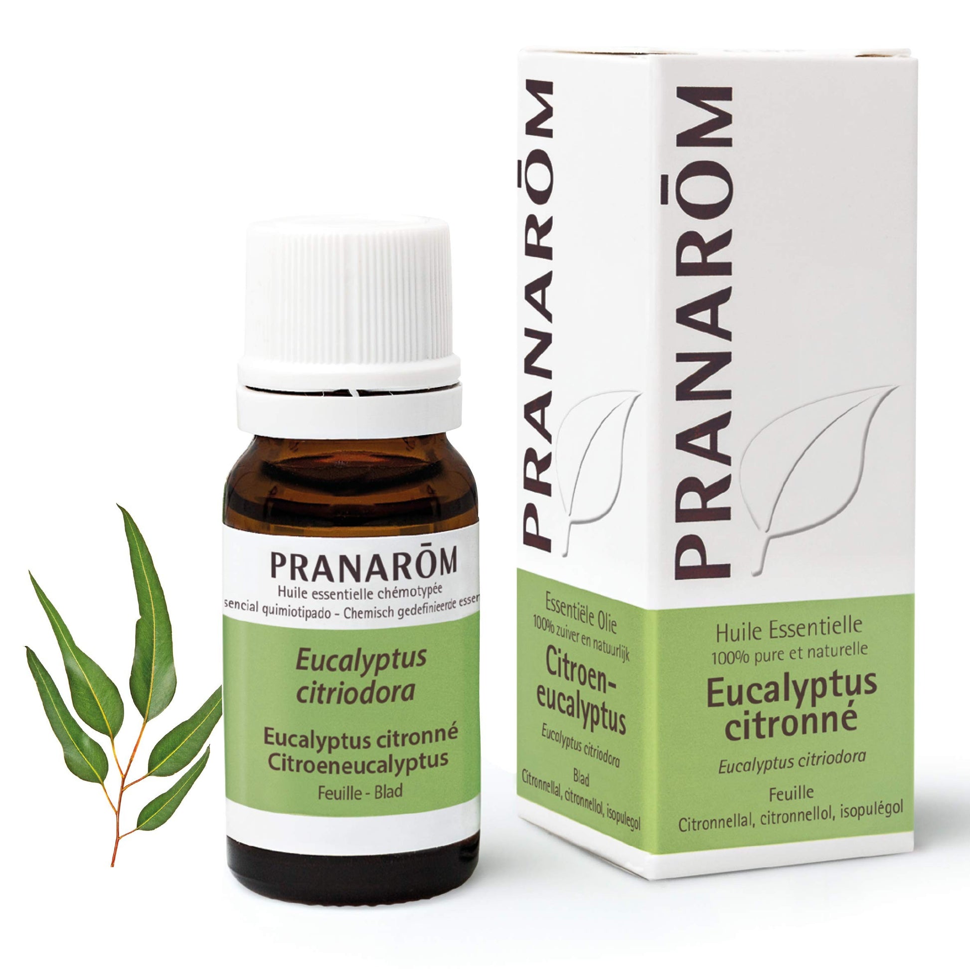 Pranarom Eucalipto Azul Hoja 10 ml-1