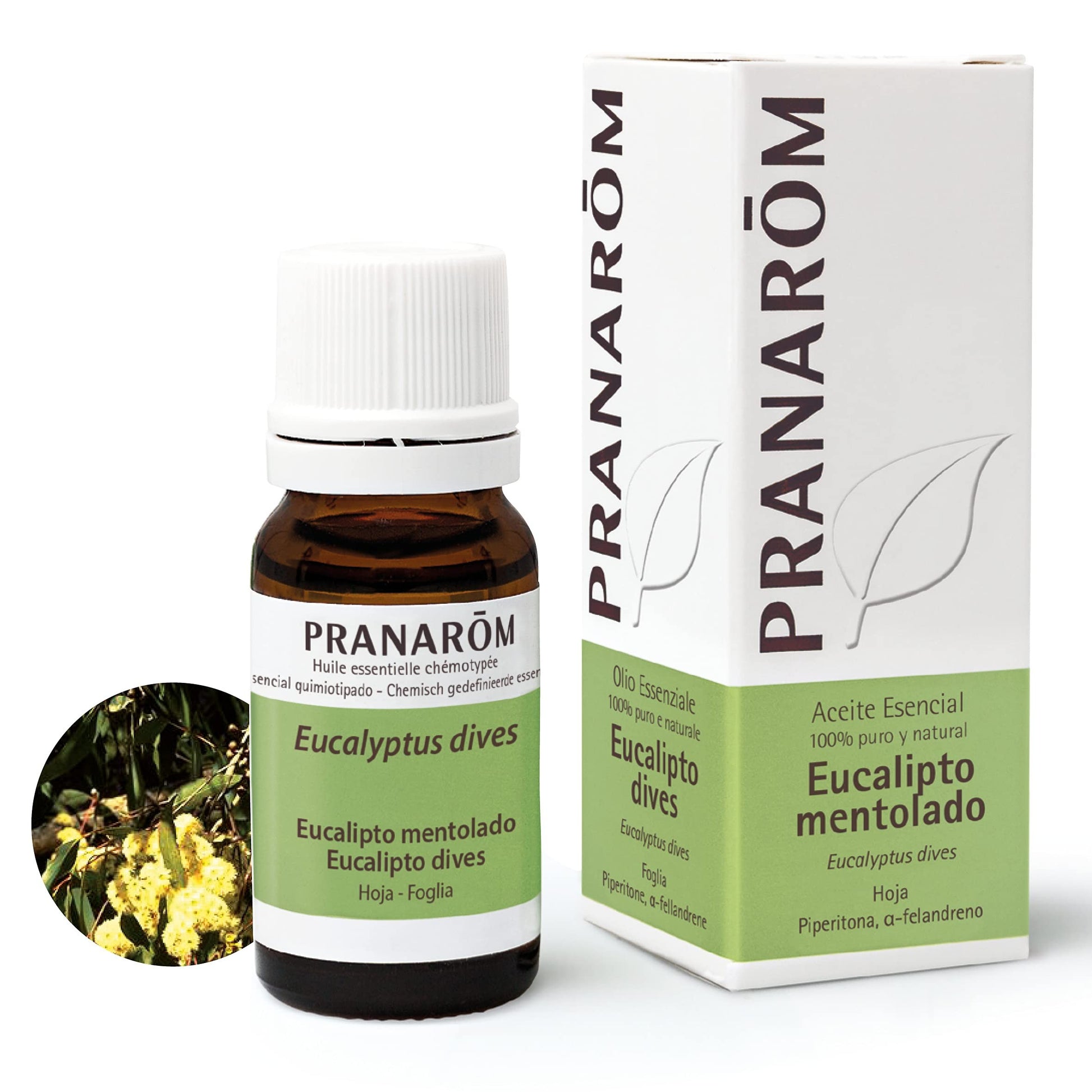 Pranarom Eucalipto Mentolado Hoja 10 ml-1