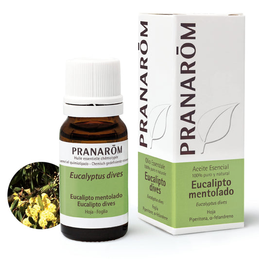 Pranarom Eucalipto Mentolado Hoja 10 ml-1