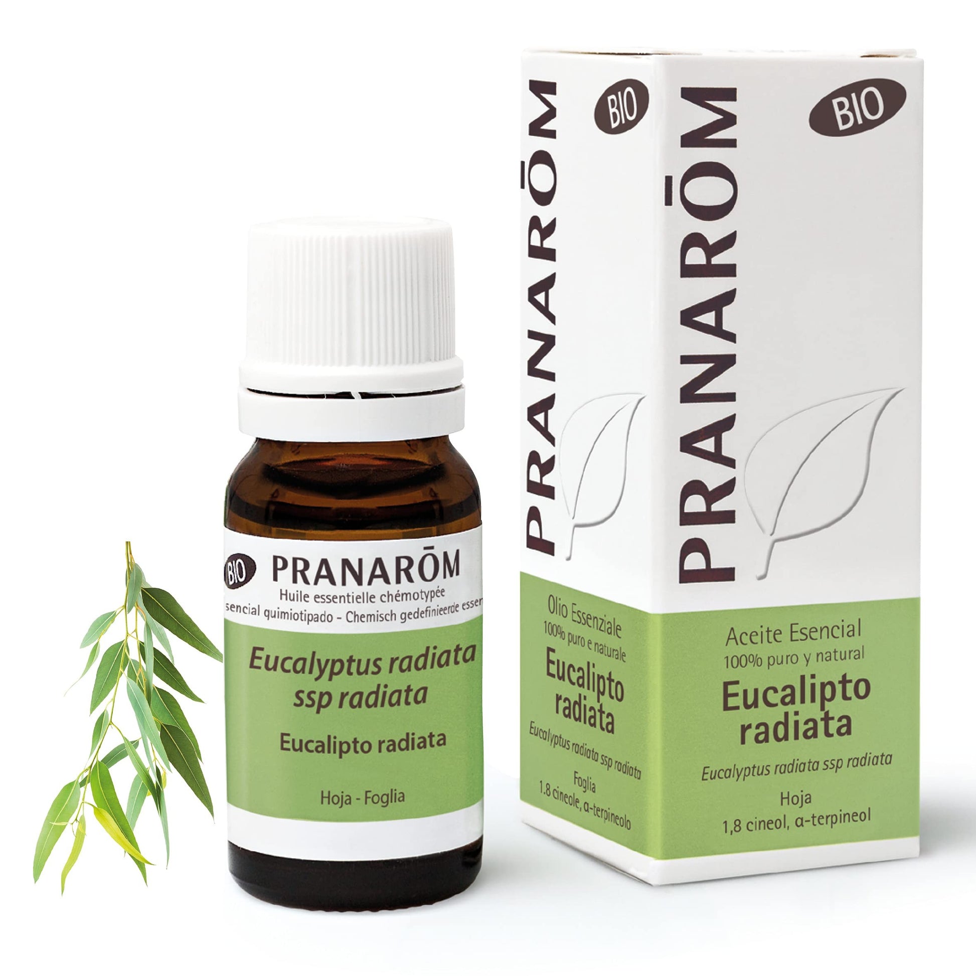 Pranarom Eucalipto Radiata Hoja Bio 10ml-1