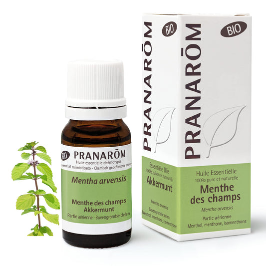 Pranarom Menta De Campo Partes Aereas Bio 10 ml-1