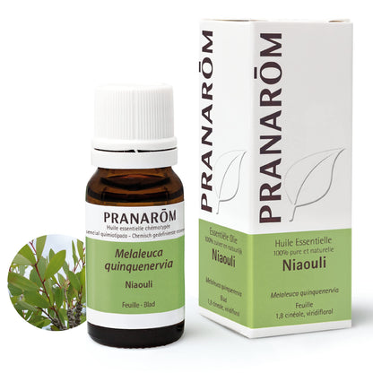 Pranarom Niauli Hoja 10 ml-2