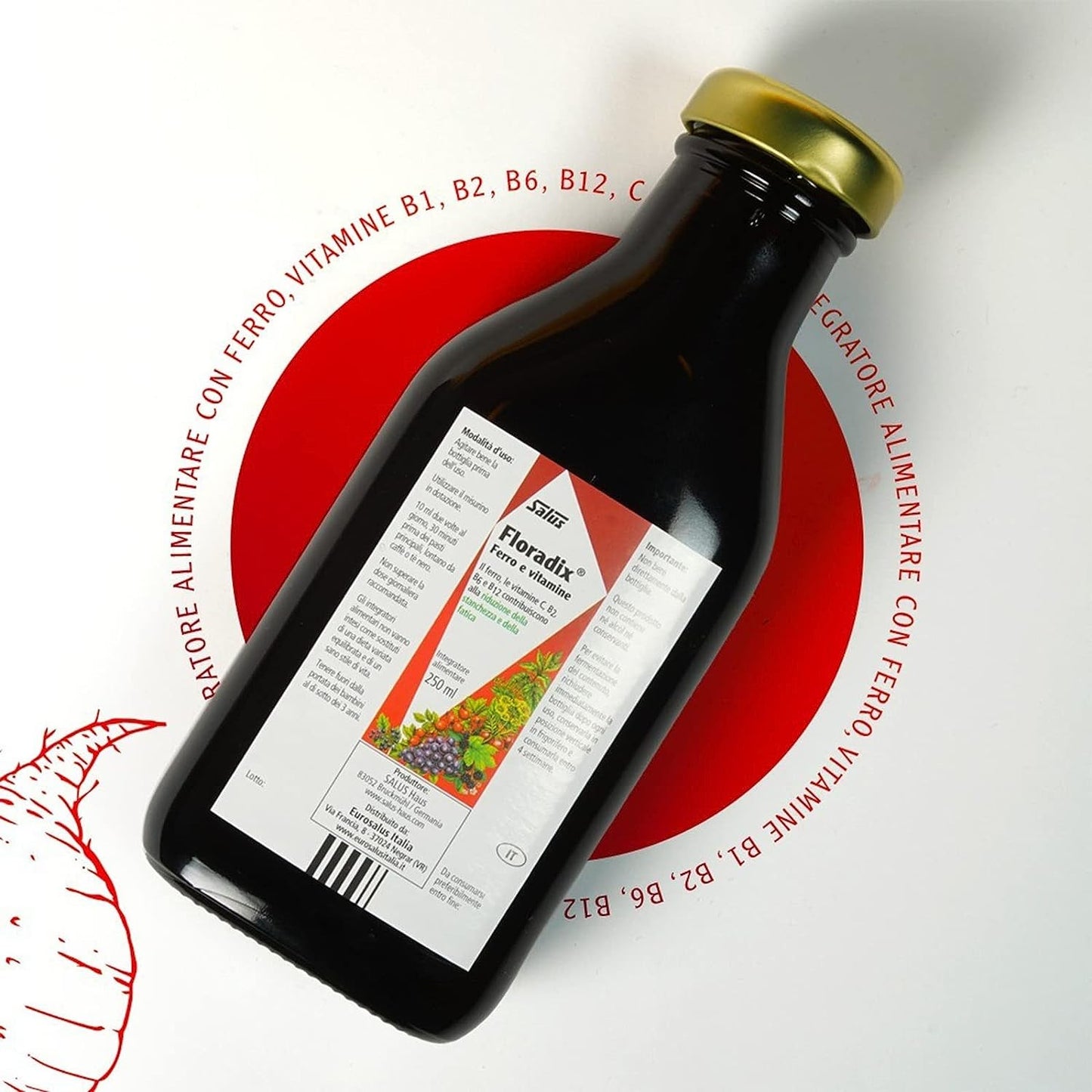Salus Floradix 500 ml-6