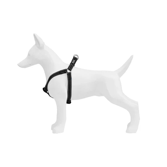 Product image for 16010