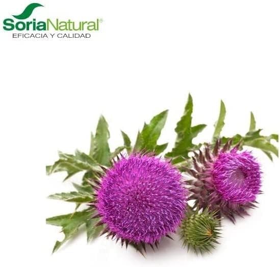 Soria Natural Extracto Cardo Mariano S. XXI 50 ml-3