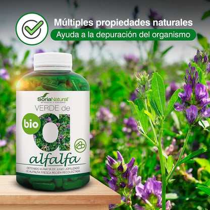 Soria Natural Verde Alfalfa 630 Mg 240 Cápsulas-2