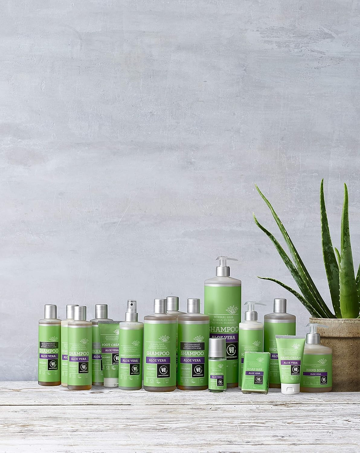 Urtekram Champú Aloe Vera Cabello Normal Urt 1L-5