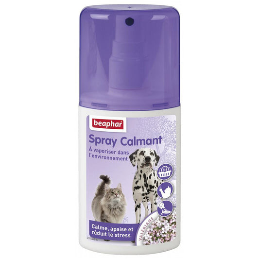 Product image for 10056