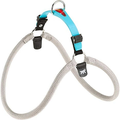Product image for 15310