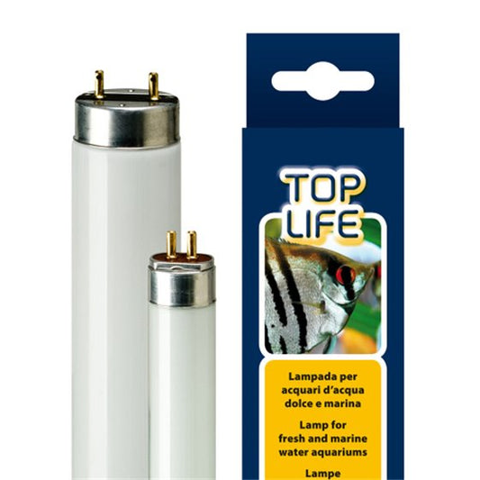 Product image for 14432