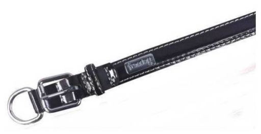Product image for 16523