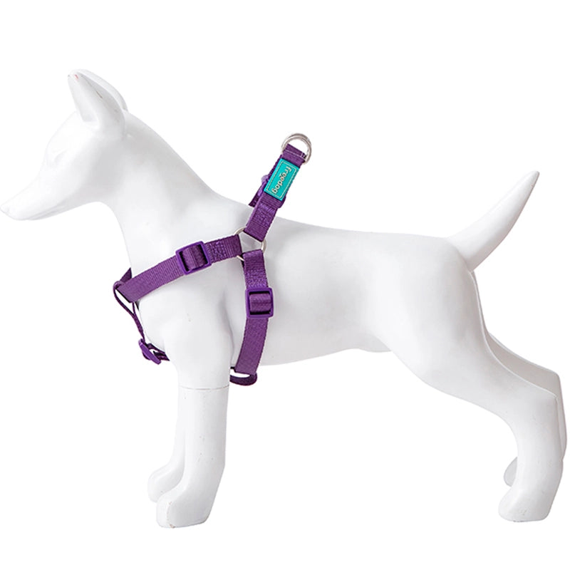 Product image for 16098