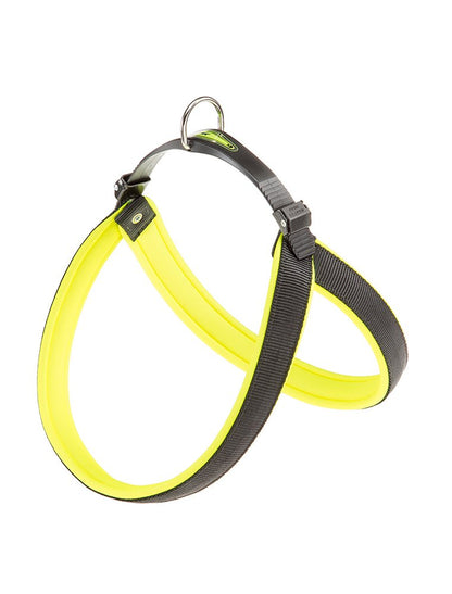 Product image for 10843