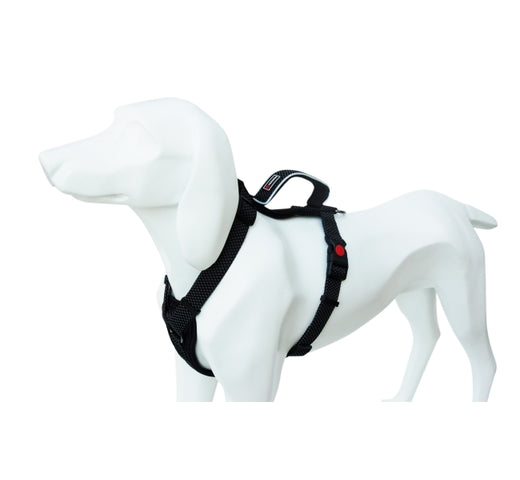 Product image for 16146