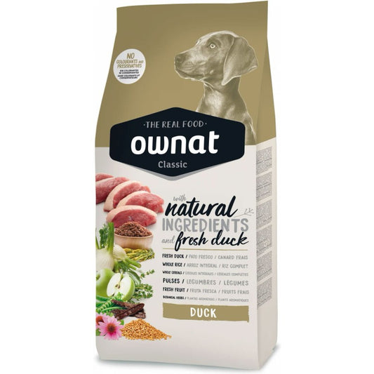 Product image for 10766