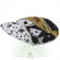Product image for 14951