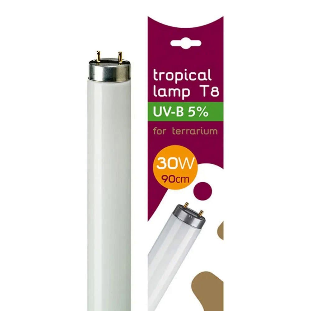 Product image for 15269